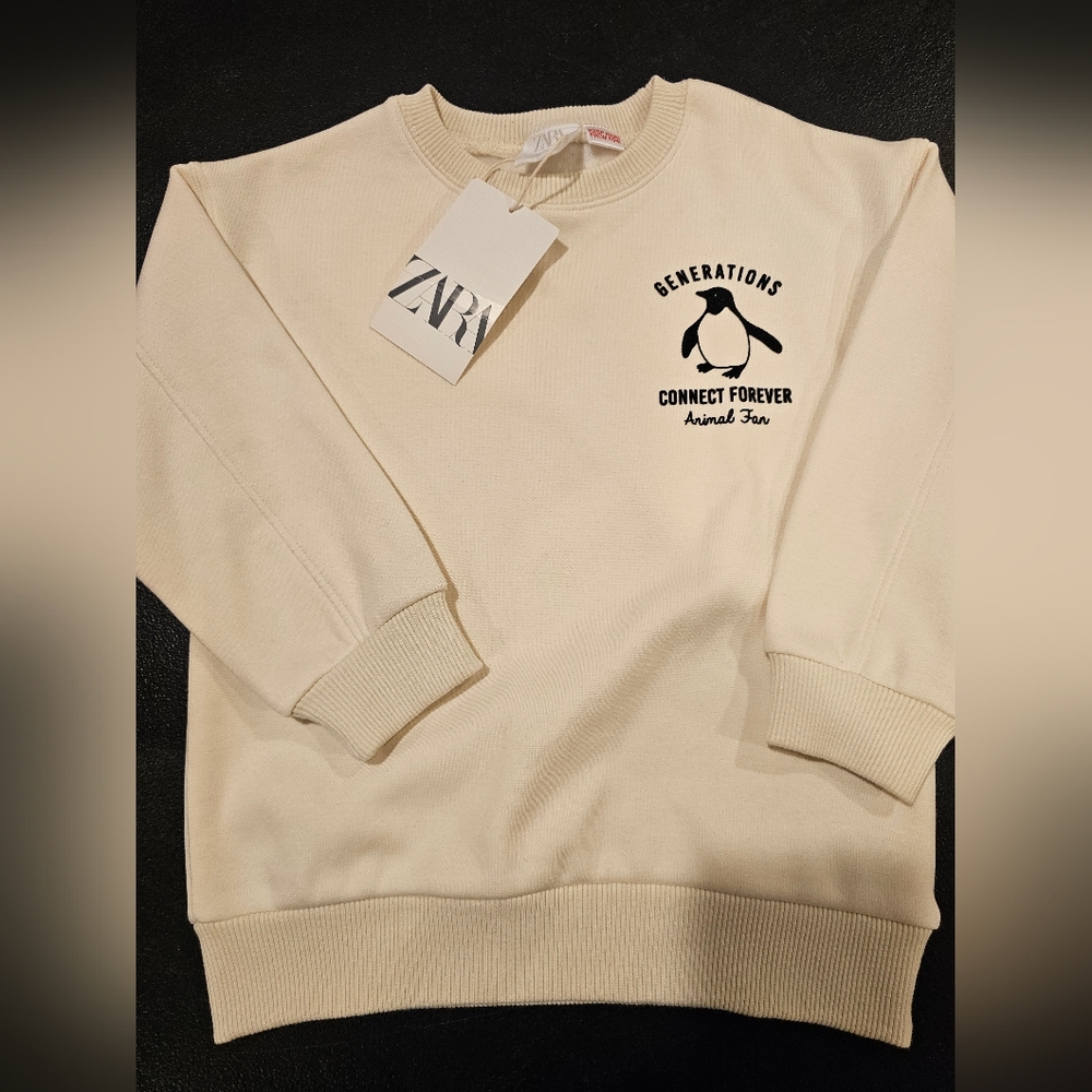 Zara sweatshirt
